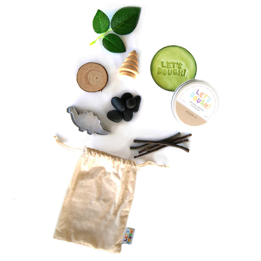 Roar Roar Dinosaur Sensory Bag
