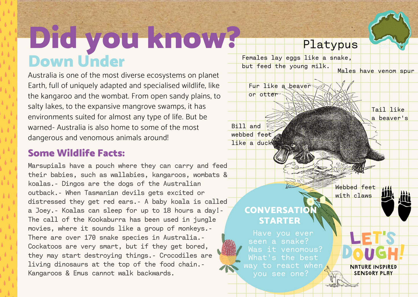 Land Down Under Sensory Kit
