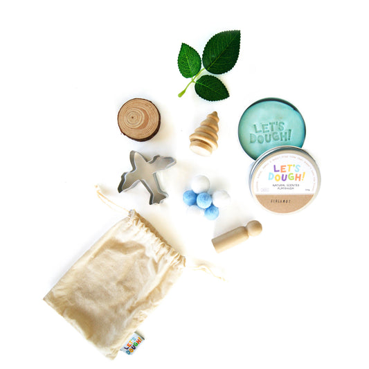 Plane Sensory Bag