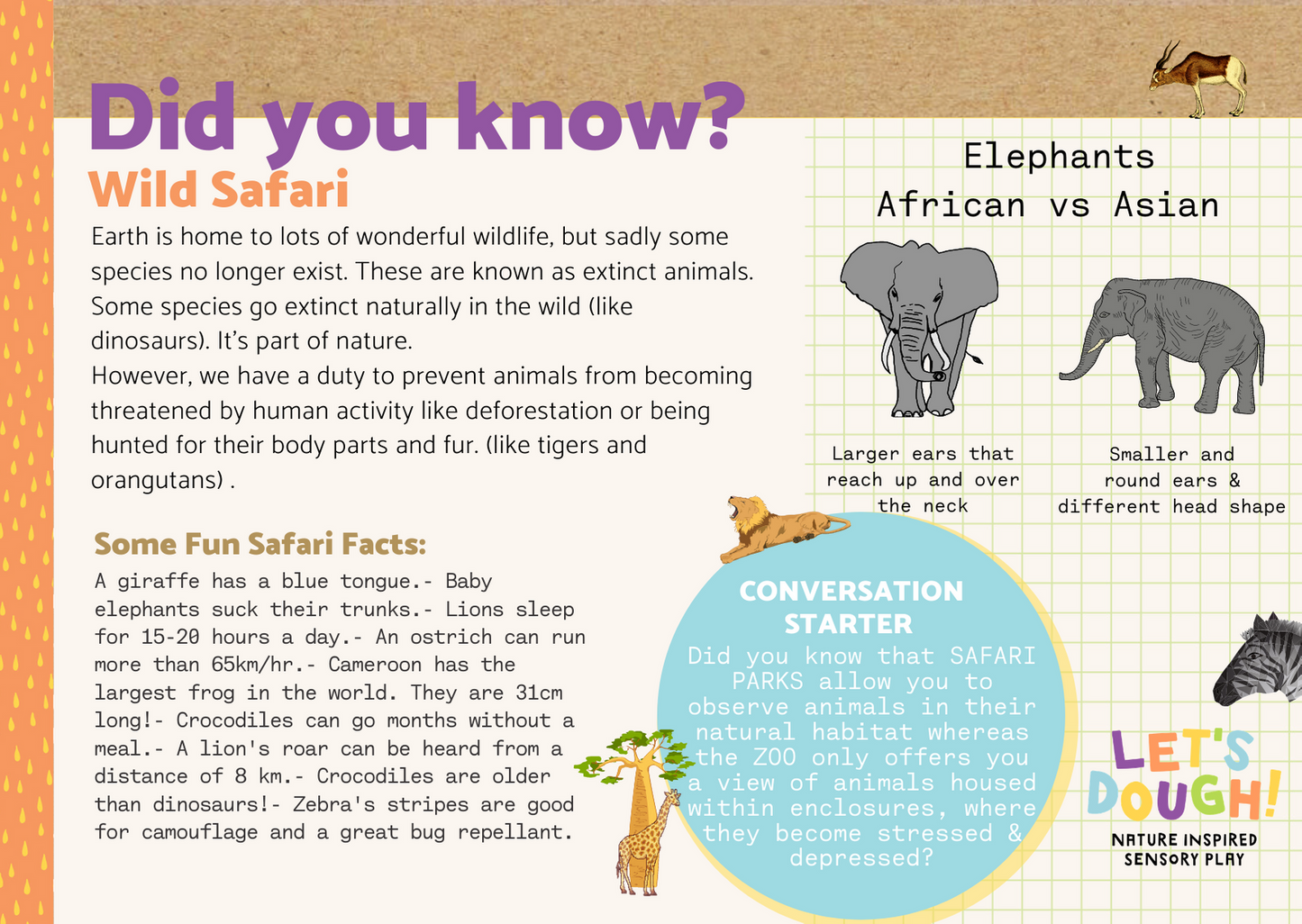 Wild Safari Sensory Kit
